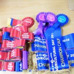 sash, rosettes and ribbons