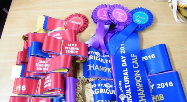 sash, rosettes and ribbons